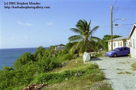 Barbados Photo Gallery St Lucy Expedition