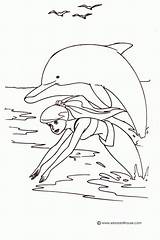Dolphin Delphine Kostenlos Ausmalbild Coloringhome sketch template