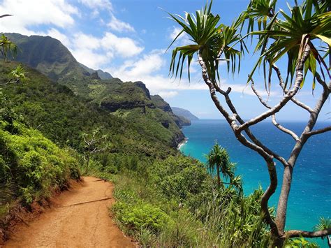 hiking trails  kauai scoopsky