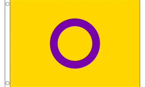 Intersex Yellow Purple Pride Flag Medium Mrflag