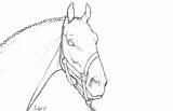 Coloring Pages Breyer Popular Library Clipart Sketch sketch template
