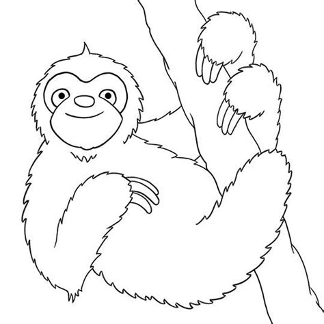 sloth drawing animal coloring pages coloring pages