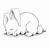 Bunny Sleeping Coloring Pages Rabbit Clipart Printable Kids Animal Bunnies Drawing Print Rabbits Wallpapers Color Clipground Check Fanpop Choose Board sketch template