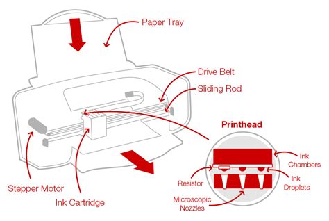 printer labeled diagram
