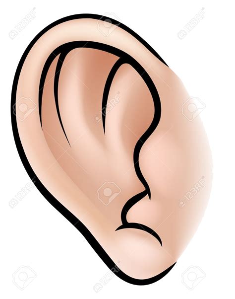 clipart ears   cliparts  images  clipground