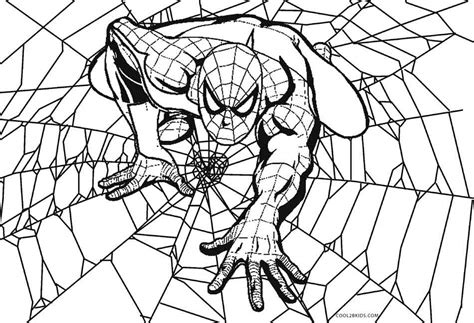 printable spider coloring pages  kids coolbkids