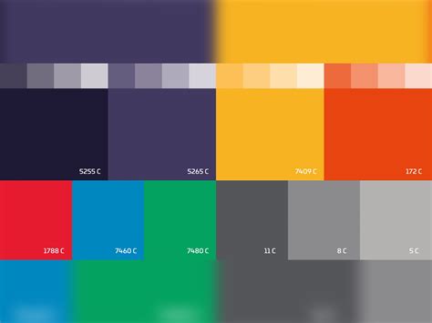 brand color palette examples  borko curcic  dribbble