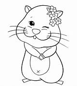 Hamster Momjunction Animals Carle sketch template