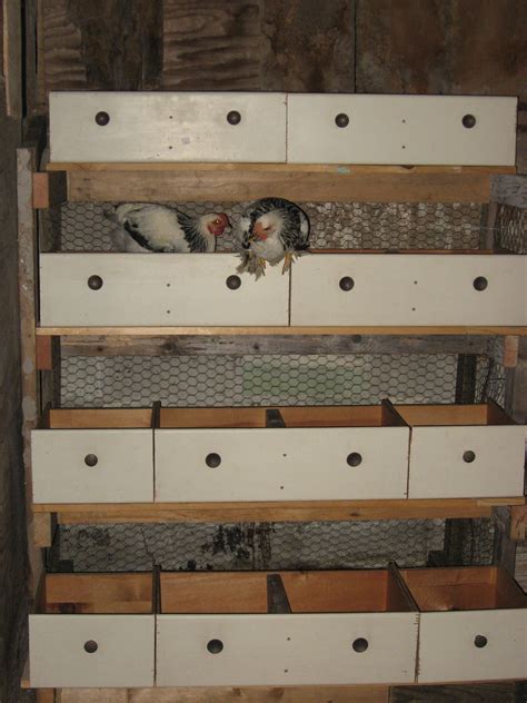 savvy housekeeping  recycled chicken nesting boxes