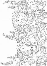 Colorat Ciel Vis Mooiste Kleurplaat Coloriage Ausmalbilder Regenbogenfisch Zee Iris Curcubeu Arcobaleno Natur Kleurplaten Planse Pesci Pestisori Animale Peixe Tegninger sketch template