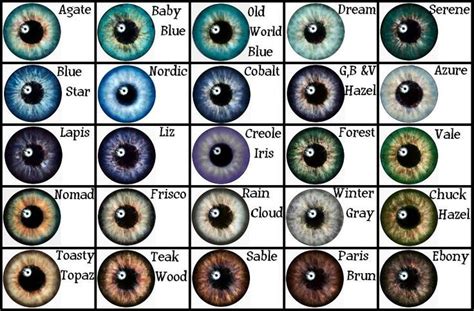 eye color chart eye color chart eye color writing inspiration