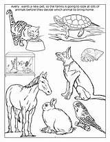 Coloring Pages Animals Pet Cat Family Animal Dog Printable Books Print Cats Getdrawings Getcolorings Worksheets Choose Board Colorings sketch template