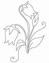 Campanula Muguet Bricolage Bestcoloringpages Motifs Contour Zeichnung Blumen Tissu Peinture Broderie Florale Croquis sketch template