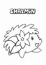 Shaymin Coloring Pages Pokemon Getdrawings Getcolorings Colorings sketch template