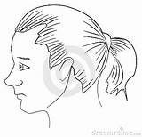 Ponytail Designlooter sketch template