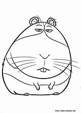 Mascotas Colorir Desenhos Coloriage Hamster Ausmalbilder Snowball Ausdrucken Dibujo Duke Websincloud Betes Secreta Bêtes Secreto Malvorlagen Filme Princesas Visitar sketch template