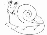 Coloring Snail Pages Print Color Snails sketch template