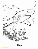 Sharkboy Pages Lavagirl Coloring Shark Colouring Getdrawings sketch template