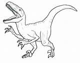 Velociraptor Coloriage Dessin Dinosaure Imprimer sketch template