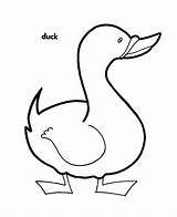 Duck Coloring Pages Kids Printable Ducks Cartoon Cliparts Clipart Bestcoloringpagesforkids Animal Sheets Mighty Clip Print Adult Animals Library Valentine Search sketch template