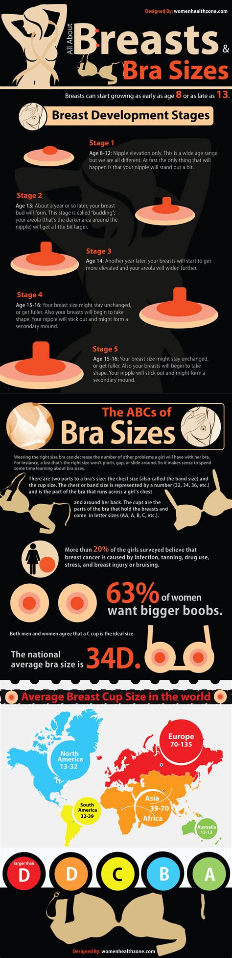 Breast And Bra Sizes Infographic Breast Sizes
