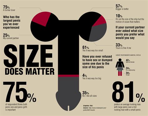 penis size chart size expert