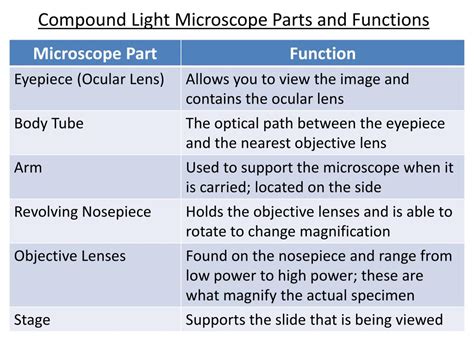 parts   light microscope   functions