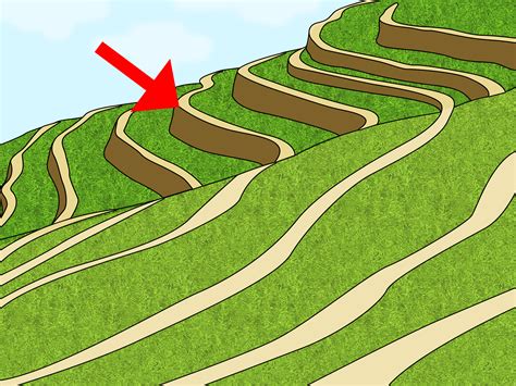 prevent soil erosion  steps  pictures wikihow