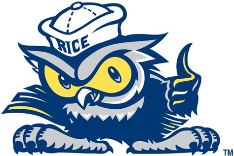 fantastic  fabulous universities   owl images art logo mascot