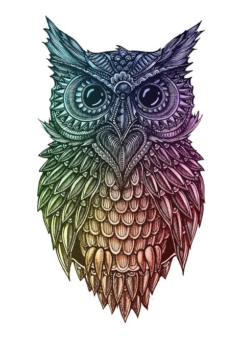 elena komozorova httpsvkcomelenayoox owl tattoo drawings owl