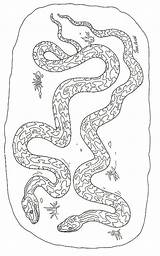 Serpenti Pythons Serpents Zmije Zmija Arca Stampare Crtež Bojanje Malvorlagen Schlange šest Bojanke Stampa Weichtiere Printanje Dominical Crtezi Coloratutto Gifgratis sketch template