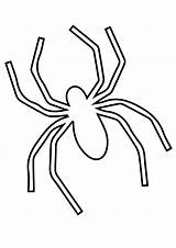Spinne Ausmalbilder Ausmalbild Clipartmag sketch template