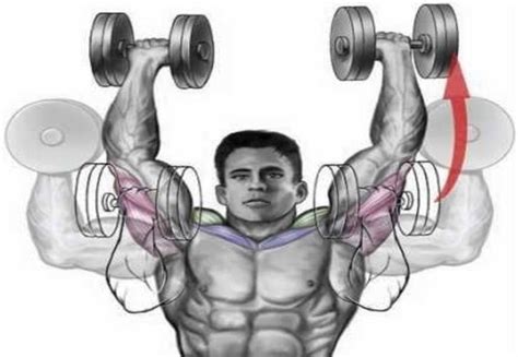 dumbbell shoulder press exercise how to do dumbbell shoulder press