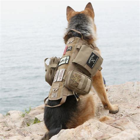 backpack  harness german shepherd dog forums