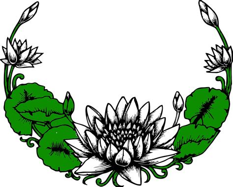 gambar bunga lily putih kartun gordon campbell