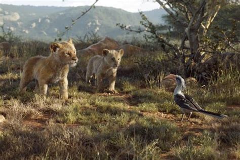 can you feel the love listen to beyonce and donald glover duet in the lion king tv spot