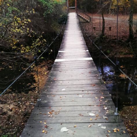 everyone in south carolina should visit this swinging bridge