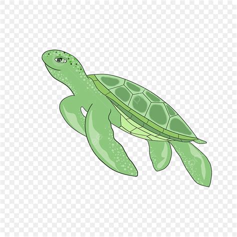 sea turtle cartoon clipart transparent background smiling cartoon sea