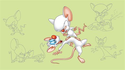 pinky and the brain about the show amblin