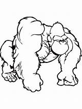 Gorilla Coloring Pages Cool Choose Board sketch template