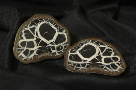 septarian nodule dragon stone matching pair kids love rocks