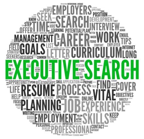 navitrust executive search firms