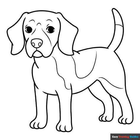 beagle coloring page easy drawing guides