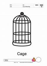 Cage Coloring Pages Colouring Birds Template Designlooter Parakeet Templates Larger Thick Line 24kb 2000px 1414 Worksheets sketch template