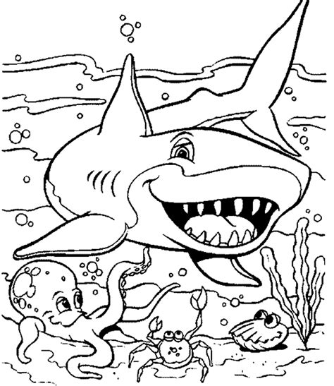 sea life coloring pages    print