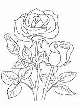 Rose Coloring Pages Flowers Flower Print Printable sketch template