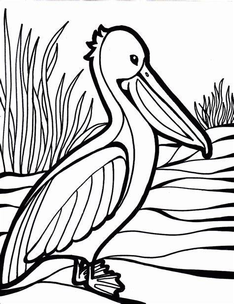 printable bird coloring pages updated