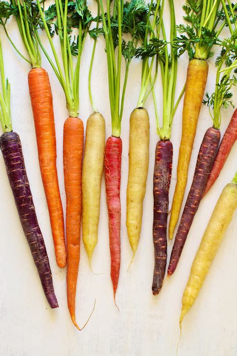 september stay  roasted carrots  pesto  gaia health blog