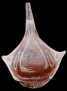Afbeeldingsresultaten voor "diacria trispinosa Trispinosa". Grootte: 137 x 185. Bron: www.pinterest.com