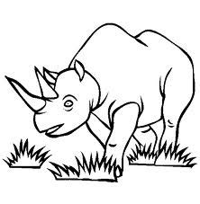 rhino coloring pages  kids